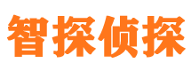 大新市私家侦探